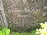 endresen-anna_jensine